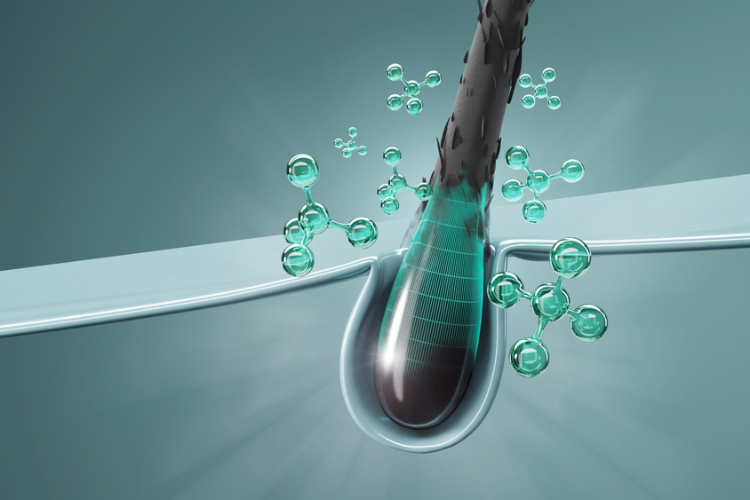 3D illustration of scalp regeneration and hair follicle repair using active peptides, nanotech molecules, and biotech skincare for advanced hair restoration treatment.
